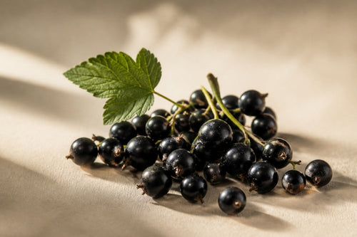 Blackcurrant