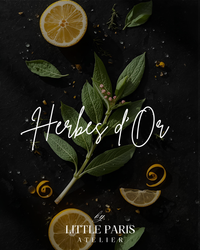 Herbes d'Or Scented Candle - Sage • Petitgrain • Lemon - Little Paris Atelier