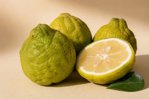 Bergamotă