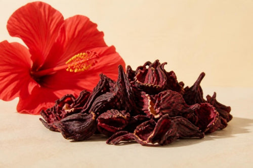 Hibiscus
